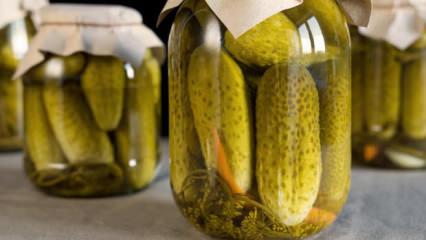 Organları yenileyen mucize! Vücudunuzu baştan aşağı sağlamlaştırıyor