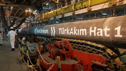 Rus istihbarat başkanı uyardı! 2 ülke TürkAkım'a saldıracak