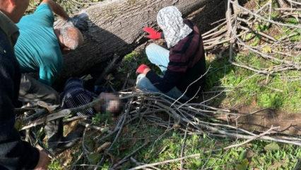 Sakarya'da korkunç kaza! Kestiği ağaç sonu oldu