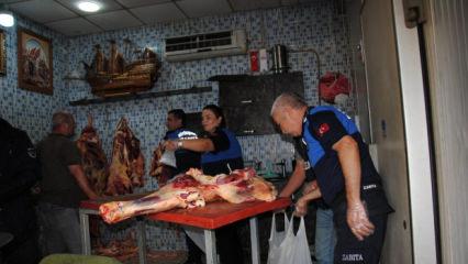 Şanlıurfa’da rezil görüntü! 1 ton kokmuş ve bozuk et ele geçirdi  