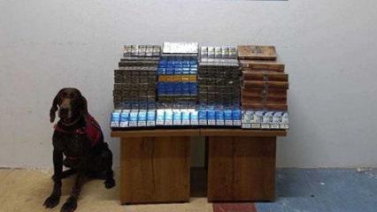 Yolcu otobüsünde bin 650 paket kaçak sigara ele geçirildi