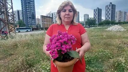 Adana'da 8 milyon 820 bin liralık vurgun! Yöntemleri şeytana pabucunu ters giydirir