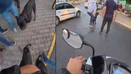 Ağızlıksız gezdirilen 'Rottweiler' dehşet saçtı! Önce kadına, sonra kuryeye saldırdı