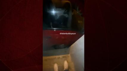  Esenler’de şaşkına çeviren park: “Dayı sen piyango musun sabah sabah!”