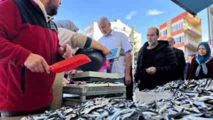 Hamsi 25 liraya d&uuml;şt&uuml;, vatandaş sıraya girdi