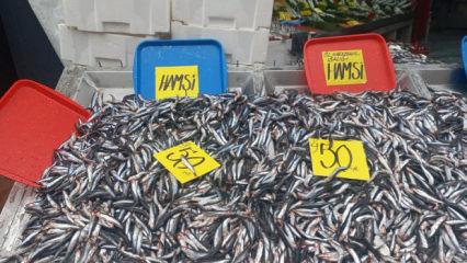 Hamsinin kilosu 50 liraya d&uuml;şt&uuml;, vatandaşlar poşet poşet aldı