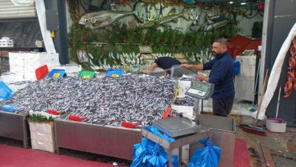 Havalar soğudu, hamsi 100 liraya d&uuml;şt&uuml;