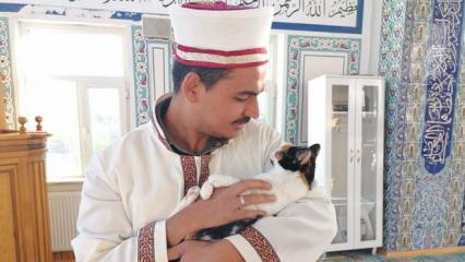 Kedileri leğende yıkayan imam hayvan sevgisiyle örnek oluyor