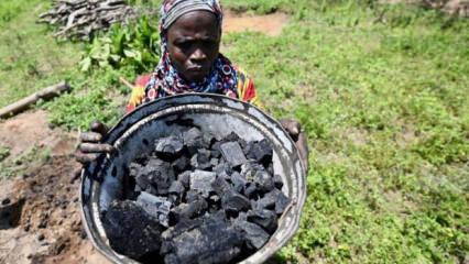 Kömür kullanımında zirve! Tarihin en yüksek seviyesine çıktı!