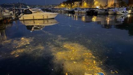 Sarıyer'de denize atılan çöpler kıyıya vurdu