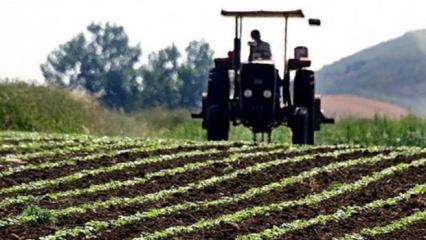 Tarımsal girdi fiyatlarında 9 ayın en düşük artışı