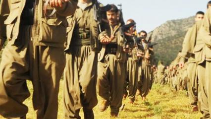 Terör örgütü PKK: Yarın tarihi bir adım atacağız