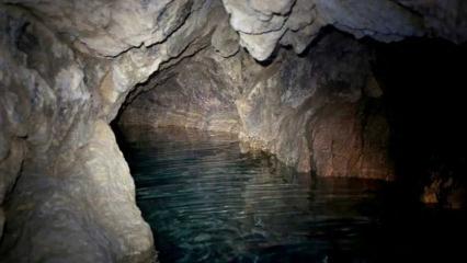 Türkiye yeni bir mağara kazandı: Kimse fark etmemiş!