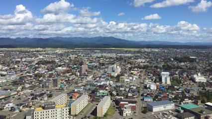 Ayılar şehre indi! Çok sayıda ölü var! Vali orduyu çağırdı, halk tedirgin