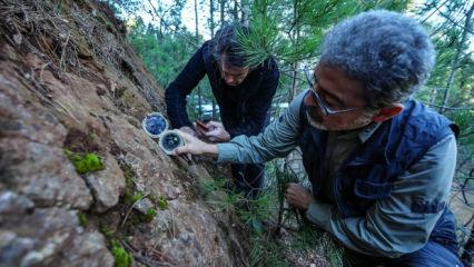 Balıkesir depremlerinin nedeni ortaya çıktı: Haritalarda olmayan fay dirildi
