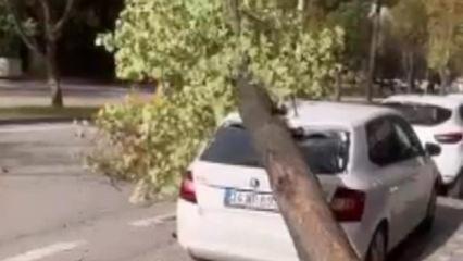 Bursa’da lodos: Otomobilin üzerine ağaç devrildi, o anlar kameraya yansıdı