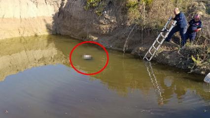 Antalya'da sır olay: Su dolu çukurdan kadın cesedi çıktı!