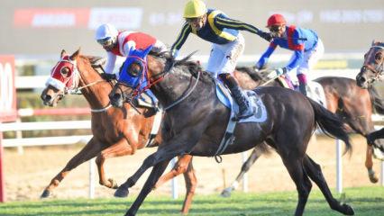 Cumhuriyet ve Cumhurbaşkanlığı koşuları nefesleri kesti! 