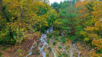 Depremle yeniden akmaya başlayan pınar, bahçeleri yeşertecek