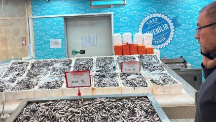 Hamsinin kilosu 50 liraya düştü, vatandaşlar markete akın etti