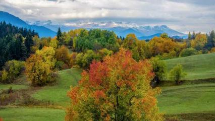 Karadeniz yaylalarında sonbahar büyüsü devam ediyor