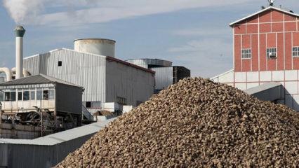 Kayseri Şeker bu sezon 475 bin ton şeker üretimi hedefliyor