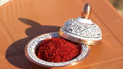 Kırmızı altın dünyanın en pahalısı...