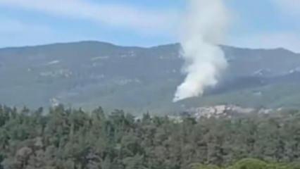 Muğla'da orman yangını korkuttu