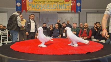 Sakarya'da "6. Tepeli Kostüm Güvercinleri Festivali" düzenlendi