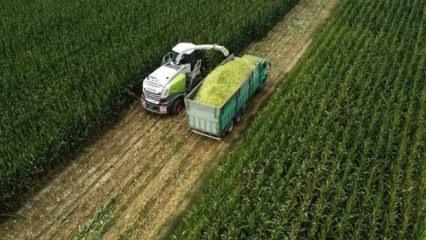 Tarıma yönelik hazine destekli finansmana ilişkin limitler düzenlendi