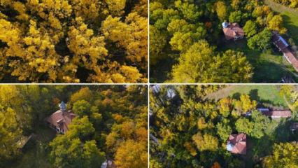 Türkiye'nin dört bir yanında sonbahar rotası! İl il belli oldu