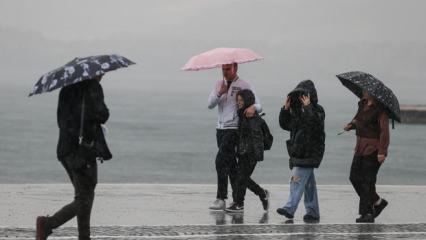 Yağışlardan sonra başkan Bozbey'den açıklama: Yağışlar şehre ilaç gibi geldi!