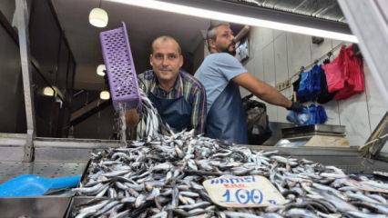 Yaz sıcakları palamudu vurdu, yerini hamsi aldı