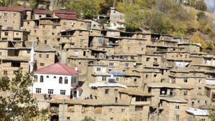 Valiyi harekete geçiren 300 yıllık köy!