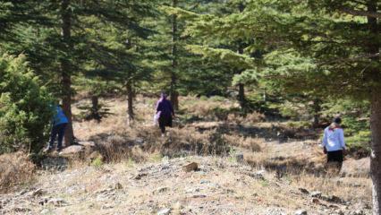 Köylünün yüzünü güldüren ürüne 4 milyon liralık fatura kesildi