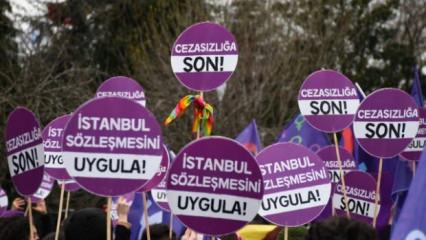 10 yıllık kötü tecrübe: İstanbul Sözleşmesi