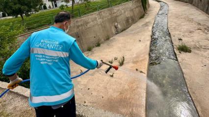 Gaziantep Büyükşehir'den ilaçlama çalışması 