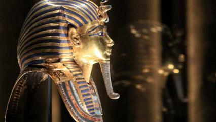 Altından maske ve tabut sergileniyor: Firavuna 7 bin metrekare yer ayrıldı