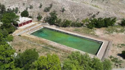 Arkeologları şaşırtan keşif: Antik Roma Havuzu bu amaçla kullanılmış