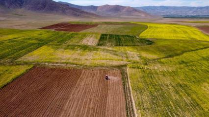Bedavaya yakın fiyatlar! En ucuz arsaların olduğu iller belli oldu...