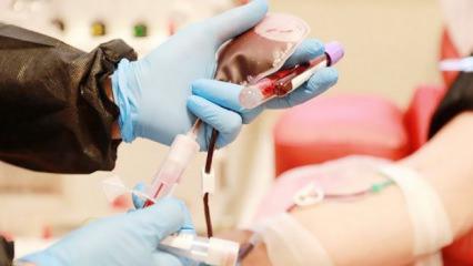 Bir bağış, bir hayat... Kök hücre bağışıyla hayat yeniden başlıyor!