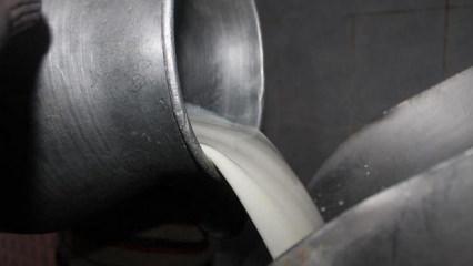 Çiğ inek sütünün "C Sınıfı"ndaki yağ değerlerinde değişiklik yapıldı