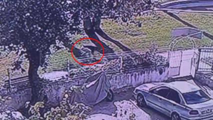 Cinayeti işleyip elindeki kanı çimlere silmiş