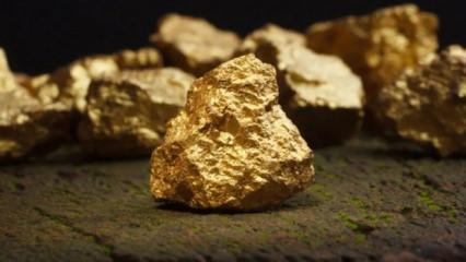  Dünyanın gözü burada: Yeni dönemin anahtarı Türkiye'de!