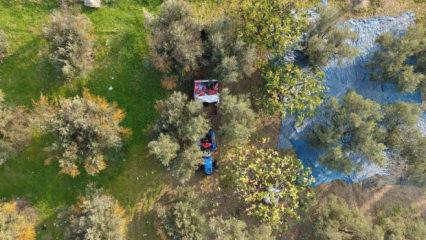 Hasat başladı! Marmarabirlik'ten 70 bin tonluk alım hedefi