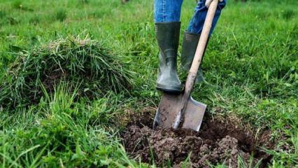 Havuz kazarken hazine buldu! Dudak uçuklatan rakamın sahibi oldu!