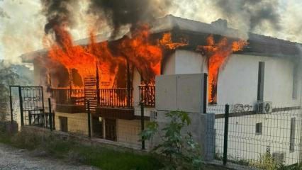 İlçeyi birbirine kattı! Evleri ateşe verdi! 2 jandarmayı bıçakladı! Saldırgan vuruldu