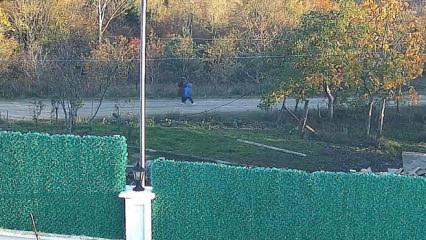 Kastamonu'da anne ve oğuldan 5 gündür haber alınamıyor! Gizemli telefon görüşmesi çıktı