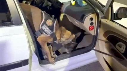 'Magnum' Erzurum’da koltuğun içine gizlemiş 8,5 kilo metamfetamin buldu