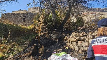 Ot temizliği yapmak istemişti canından oldu